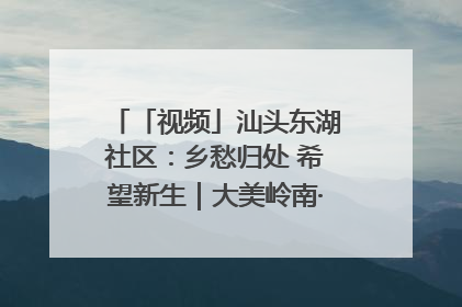 「视频」汕头东湖社区：乡愁归处 希望新生｜大美岭南·百村焕新记